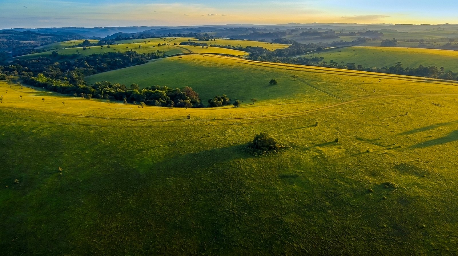 Aerial view over rolling grassland at low sun, with hedgerow trees, faint field tracks and hazy ridgelines along the horizon